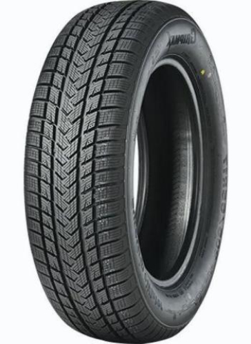 GRIPMAX SureGrip eWinter 205/65 R17 100V