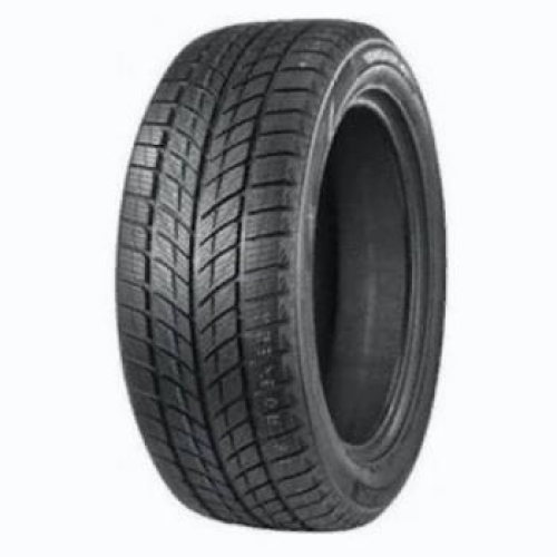 Double Star WINTERKING DW09 225/45 R18 95T